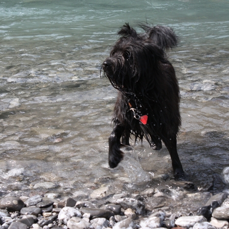 Urlaub im Allgäu (17)